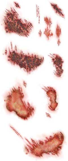 Tinsley Transfers Schaafwonden Trauma FX Tattoos