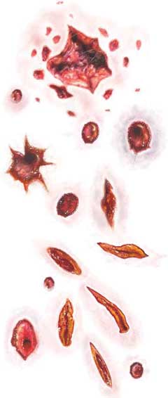 Tinsley Transfers Schot En Steekwonden Trauma FX Tattoos