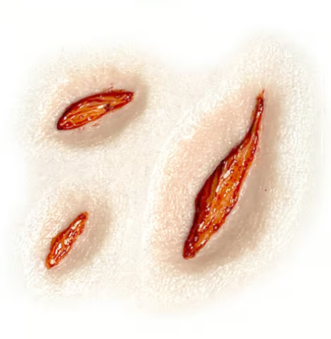 Tinsley Transfers Split Skin Tinsley 3D FX Transfers