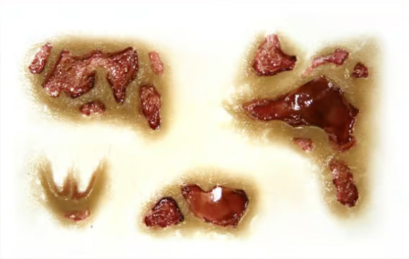 Tinsley Transfers Zombie Rot Tinsley 3D FX Transfers