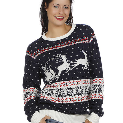 Wilbers & Wilbers Kersttrui donkerblauw met slee