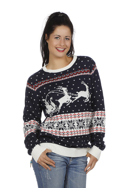 Wilbers & Wilbers Kersttrui donkerblauw met slee