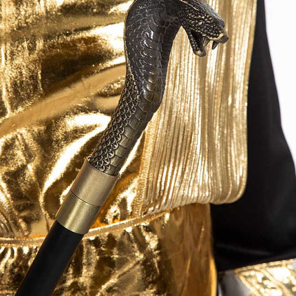 Wilbers & Wilbers Wandelstok Slang