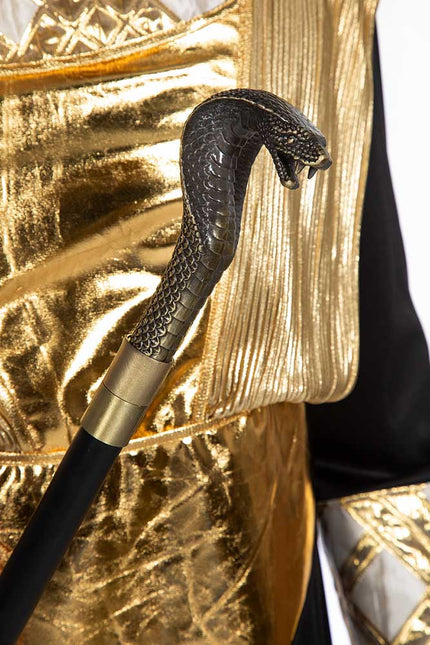 Wilbers & Wilbers Wandelstok Slang