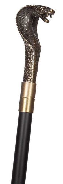 Wilbers & Wilbers Wandelstok Slang